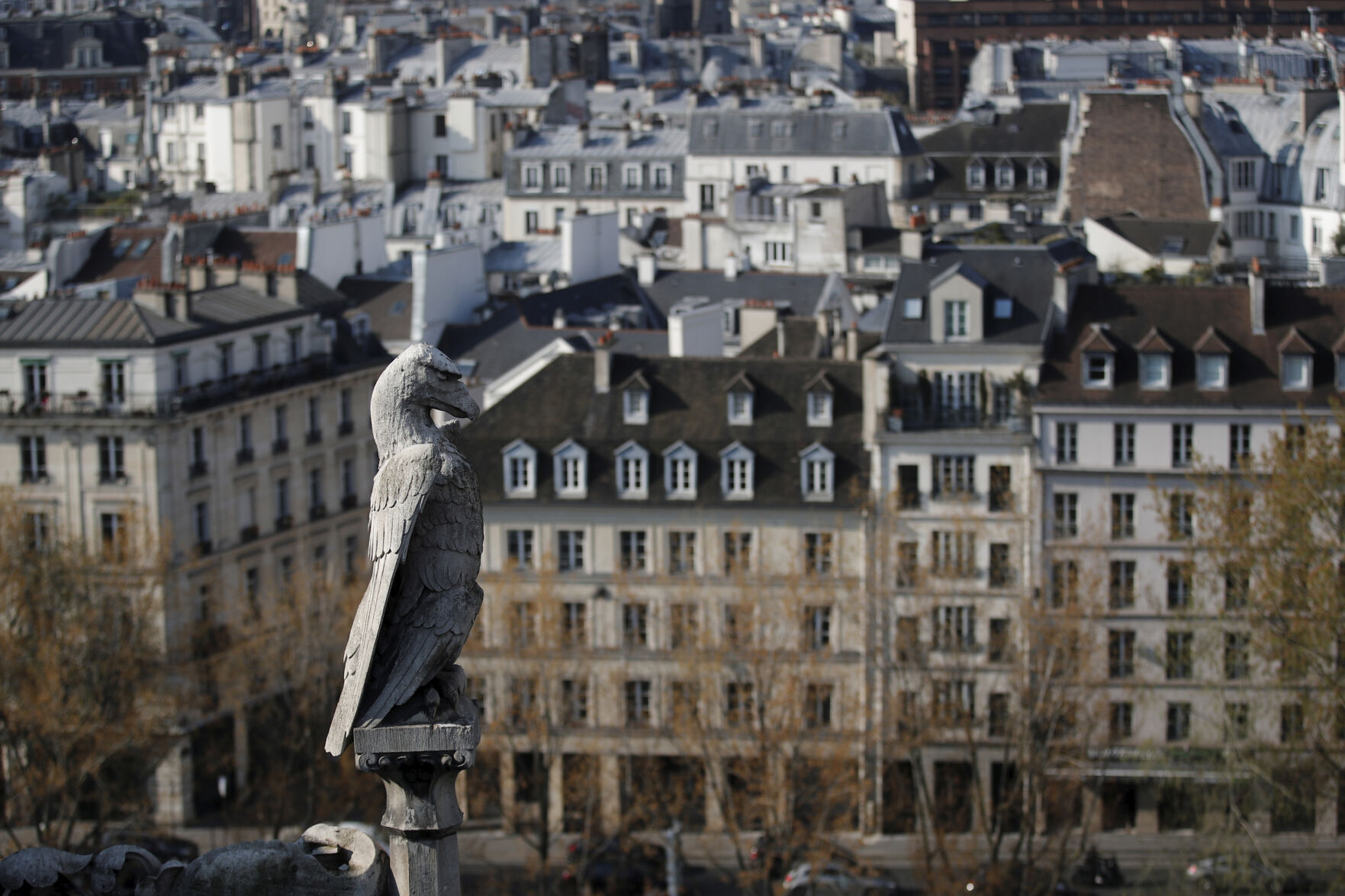 France Notre Dame